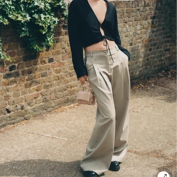 NWT Anthropologie / Amadi Pleated Wide-Leg Pants size Medium in Sand Beige Retro - Picture 11 of 11